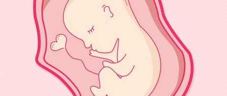 为什么现在的人越来越不易怀孕？不孕不育应该怎样治疗呢？