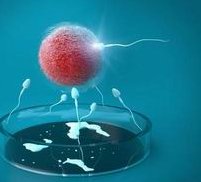 国内医科大学附属盛京医院做三代试管成功率如何？一文读懂需要花多少钱